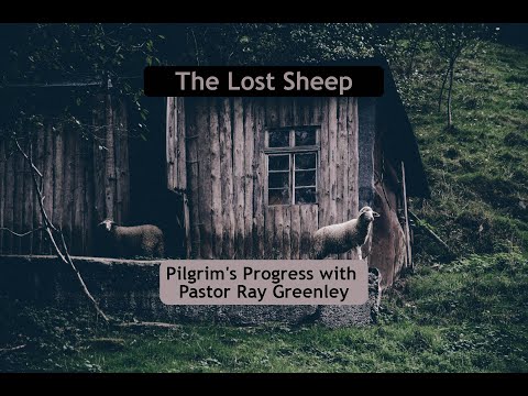3-11-2024 The Lost Sheep
