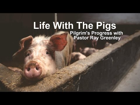 7-22-2024 Life With The Pigs