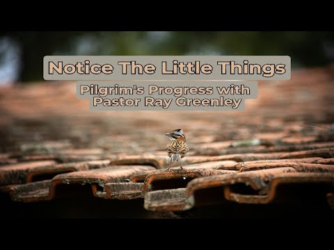 9-25-2024  Notice The Little Things