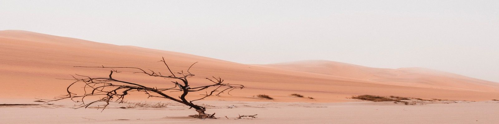 ryan cheng uqYy29Sfb8Q unsplash