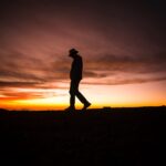 steve halama 647087 unsplash