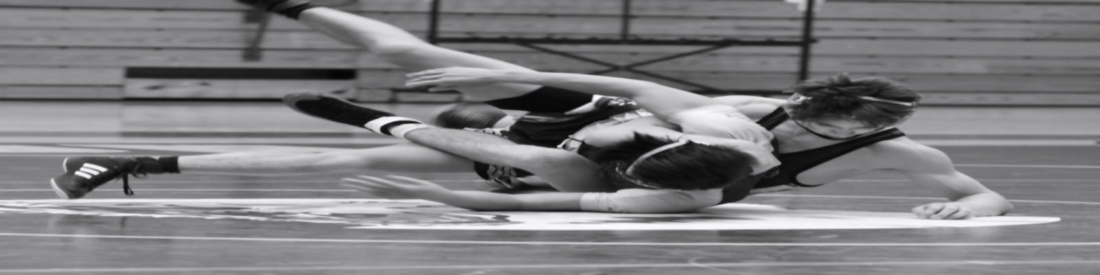 chris chow TxxSLvOvfCk unsplash