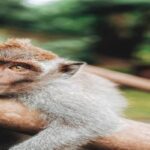 jared rice O6DUoIl6NWA unsplash