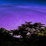 unsplash Tom Gainor