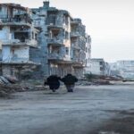 mahmoud sulaiman yi441ziW2ak unsplash