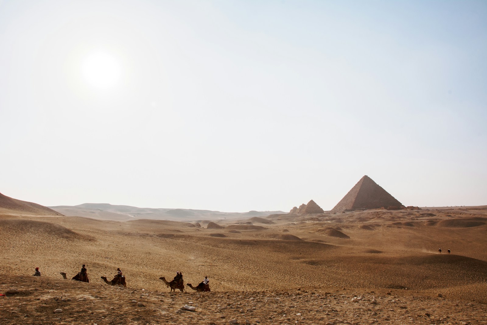 men riding camels on field