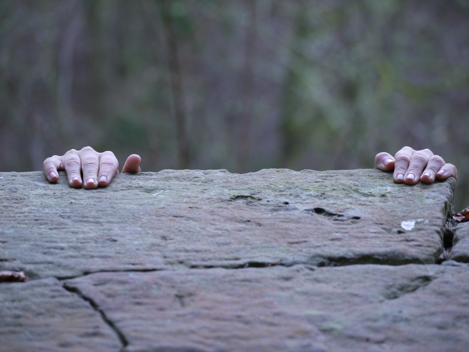 Two hands on a rock with trees in the background