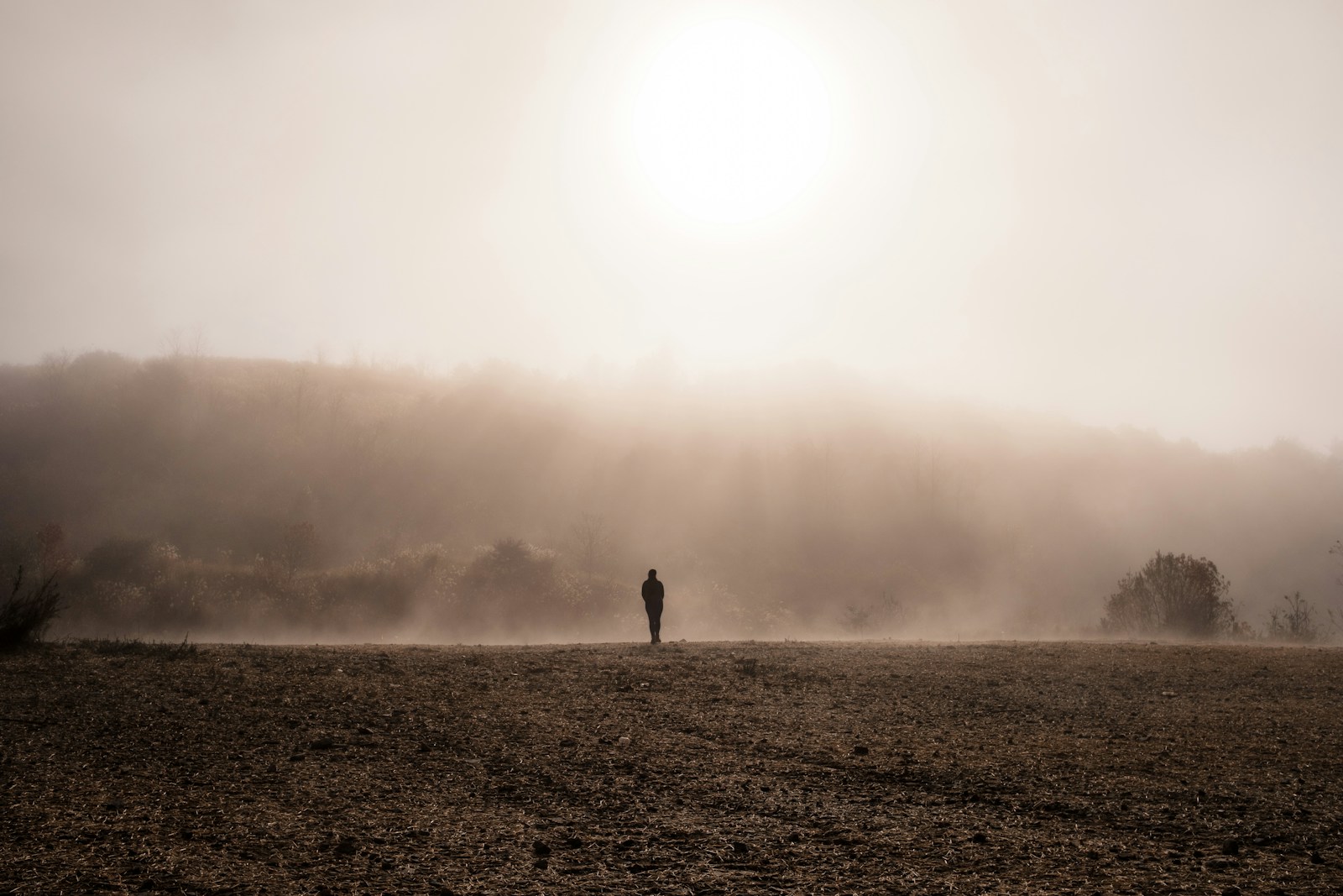 person standing on gray sand during foggy weather